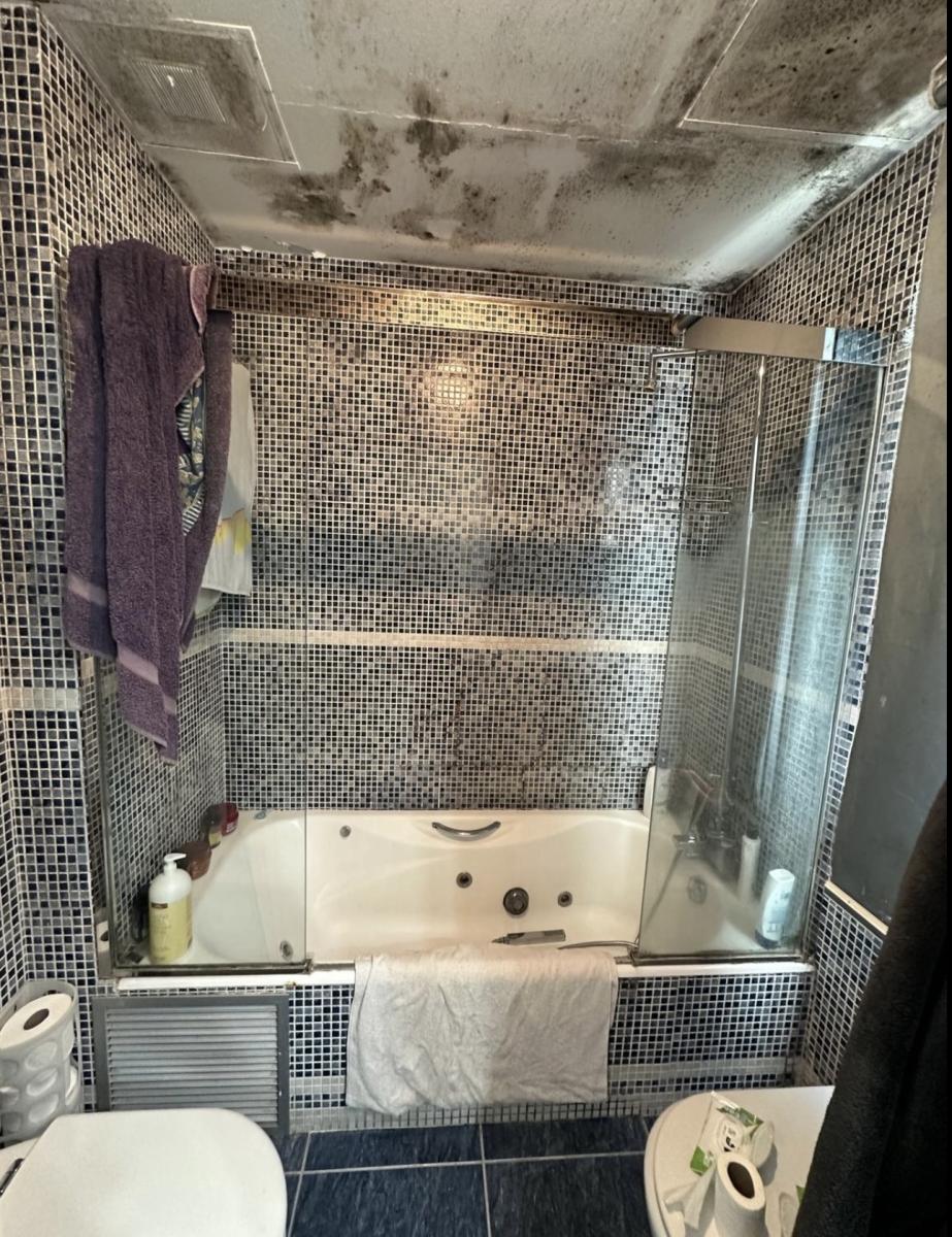 REFORMA BAÑO HERNAN CORTES